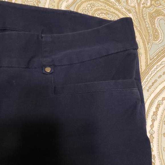 Capris - Picture 3 of 5